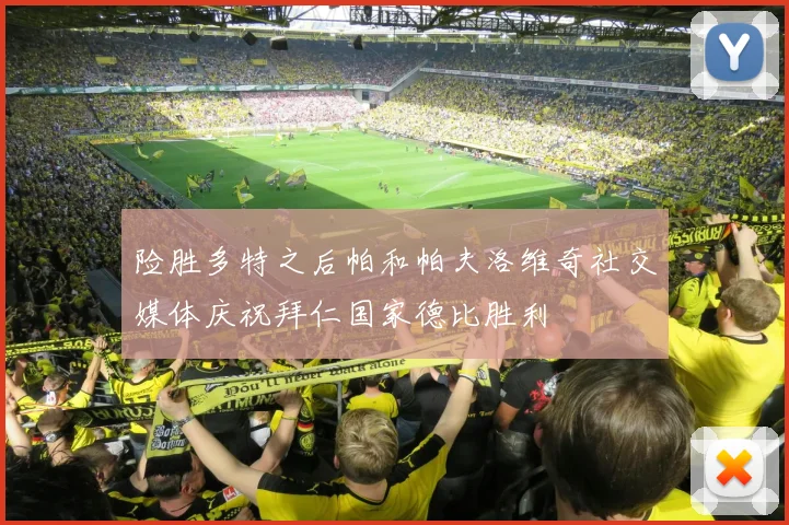 险胜多特之后帕和帕夫洛维奇社交媒体庆祝拜仁国家德比胜利
