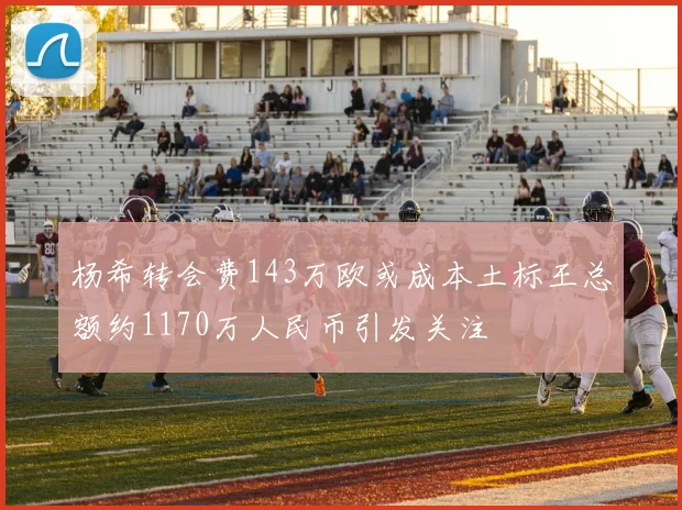 杨希转会费143万欧或成本土标王总额约1170万人民币引发关注