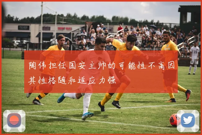 陶伟担任国安主帅的可能性不高因其性格随和适应力强