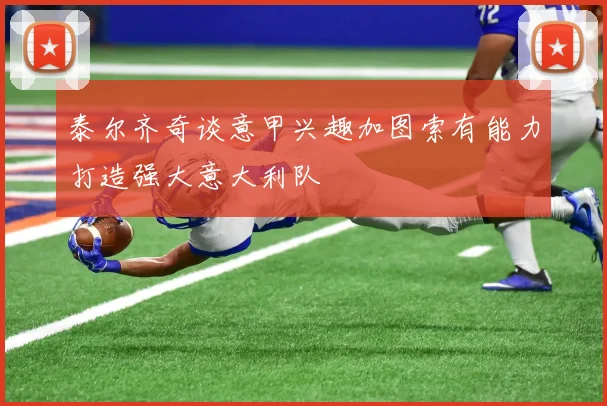泰尔齐奇谈意甲兴趣加图索有能力打造强大意大利队