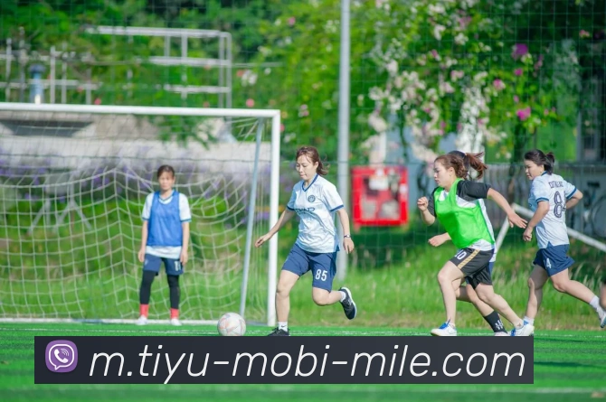 米乐体育平台生态图