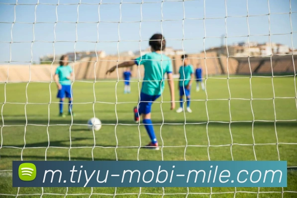 米乐体育APP 封面图